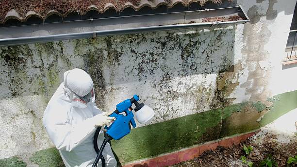 Trusted Crawl Space Mold Removal service in Marietta, PA - Cheap Mold Removal